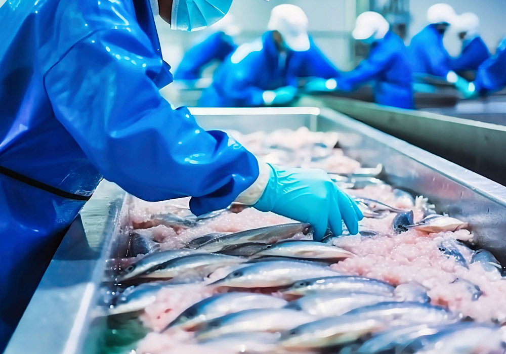 consultora calidad e inocuidad alimentaria en factorias de procesado de pescado